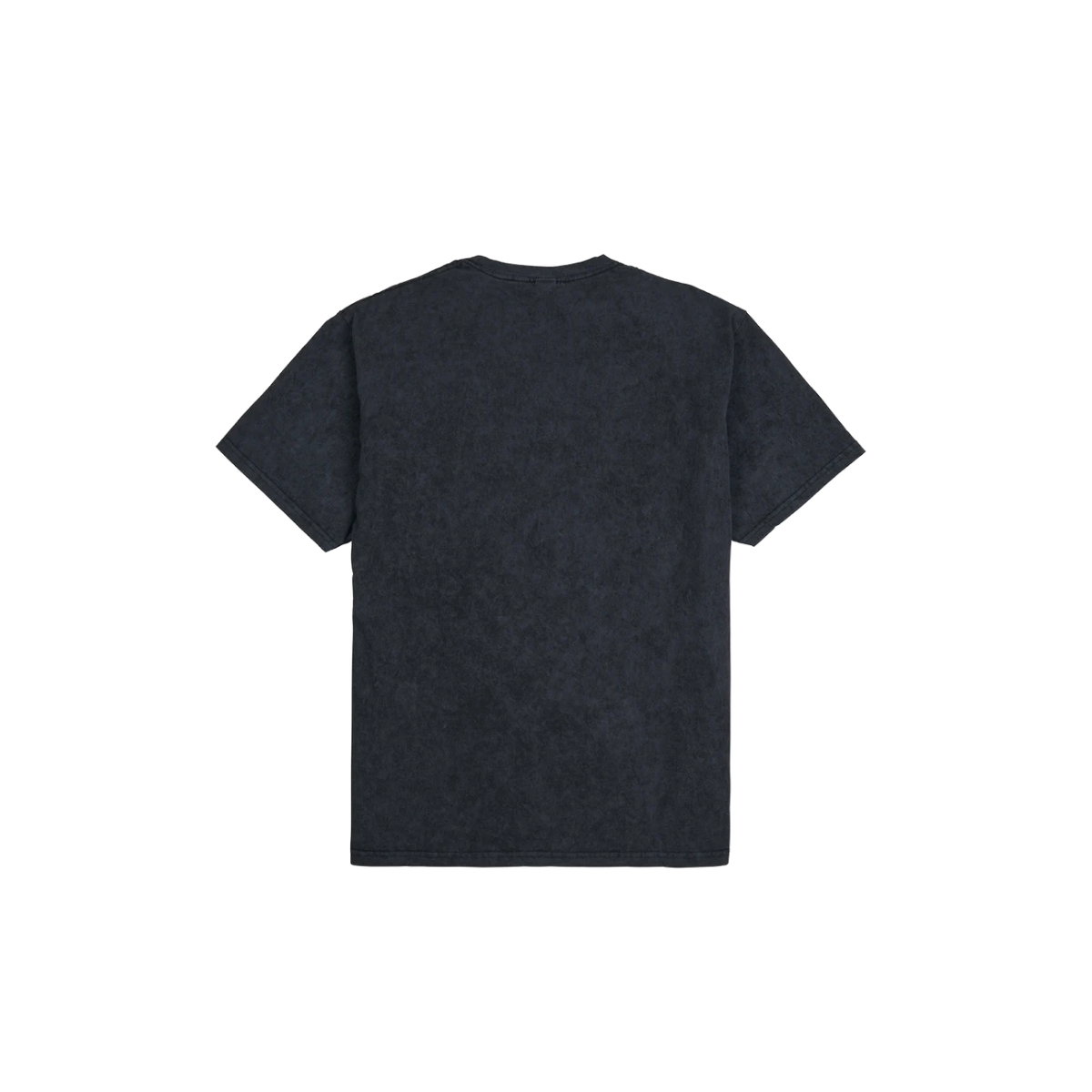 Amy Winehouse - Back to Black Portrait Washed T-Shirt